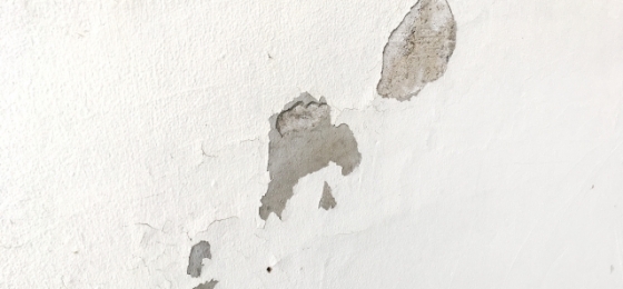 塗装が剥がれた外壁